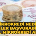 Mikro Kredi Nasıl Alınır? Kimlere Verilir?