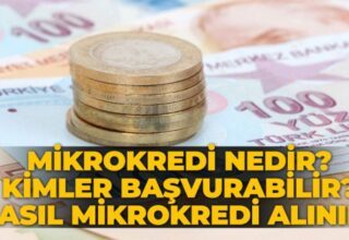 Mikro Kredi Nasıl Alınır? Kimlere Verilir?