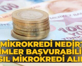 Mikro Kredi Nasıl Alınır? Kimlere Verilir?