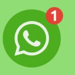 WhatsApp Ses kaydetme ve indirme