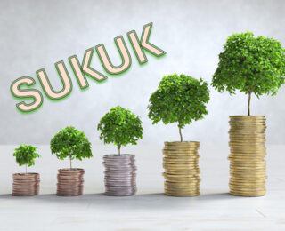 Faizsiz Finansın Yükselen Yıldızı: Sukuk ile Yatırımın Yeni Yolu
