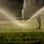 Sulama Altyapısında Yeni Dönem: Türkiye’ye 757,1 Milyon Euro Destek