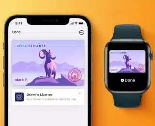 iPhone Artık Sürücü Belgesi Gibi Kullanılabilecek mi?