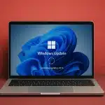 Windows Güncellemesi Sonrası C Sürücüsü Sorunu Gündemde